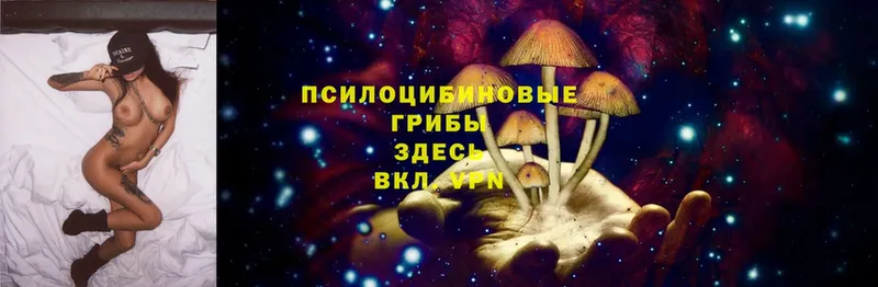 дарнет шоп  Апшеронск  Галлюциногенные грибы Magic Shrooms 